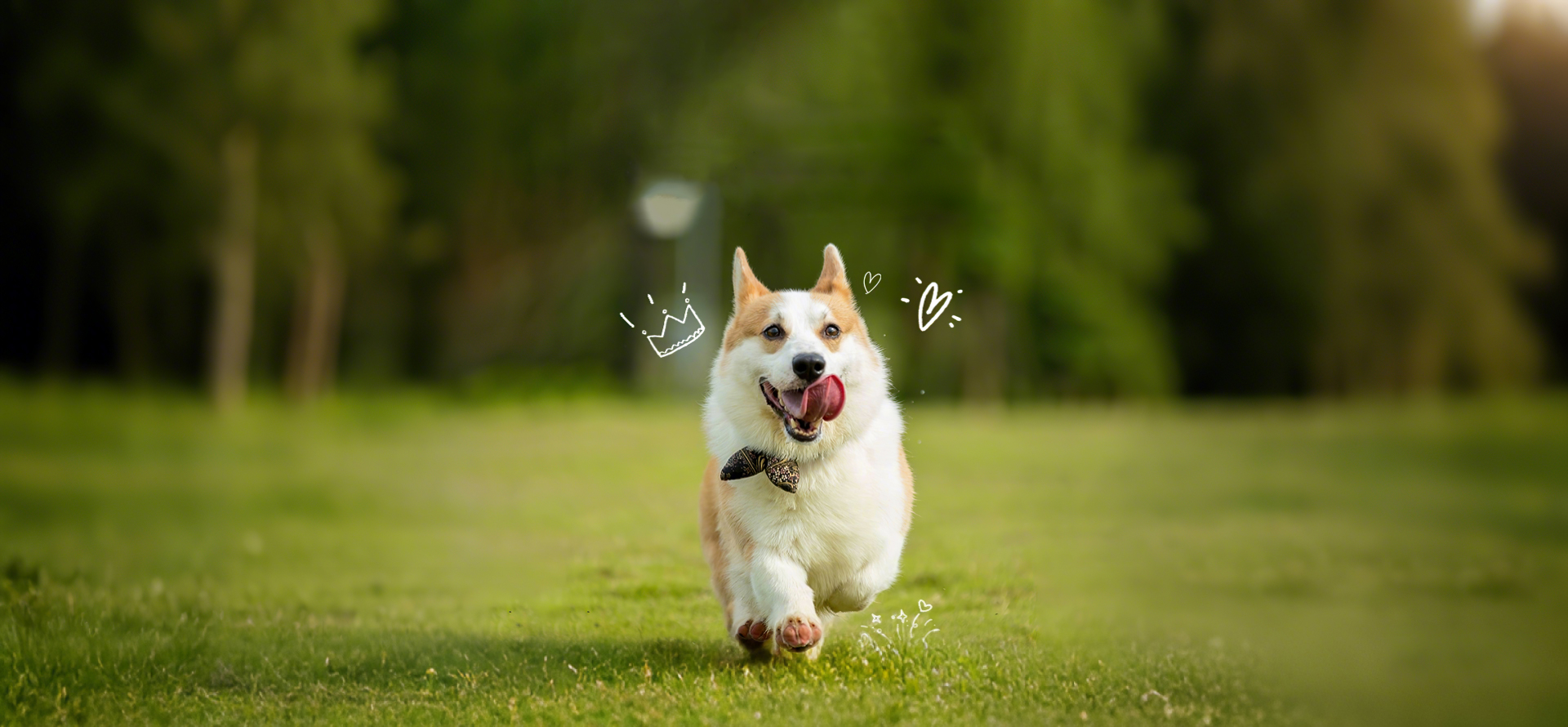 index-banner