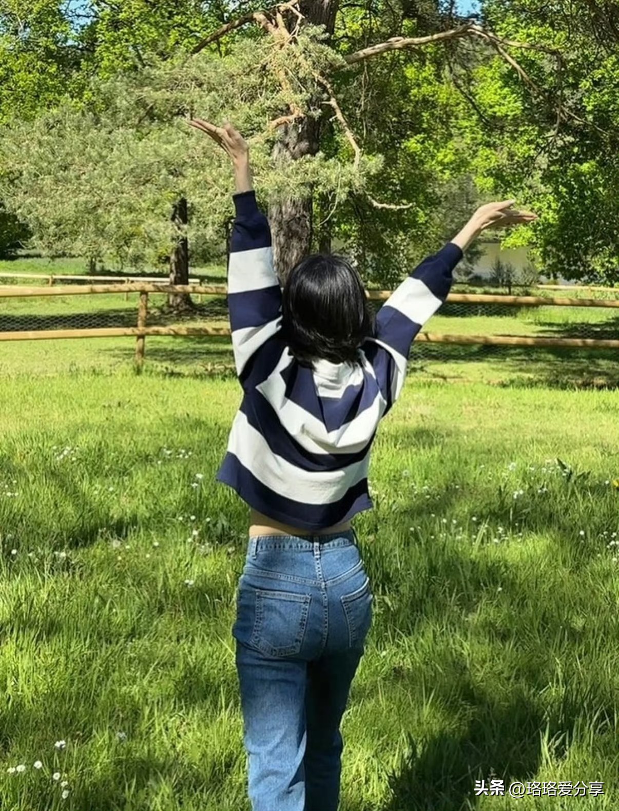 宋慧乔紧致腰线_宋慧乔_宋慧乔身材管理